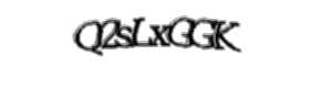 Security check image, please type the characters shown