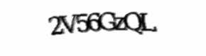 Security check image, please type the characters shown